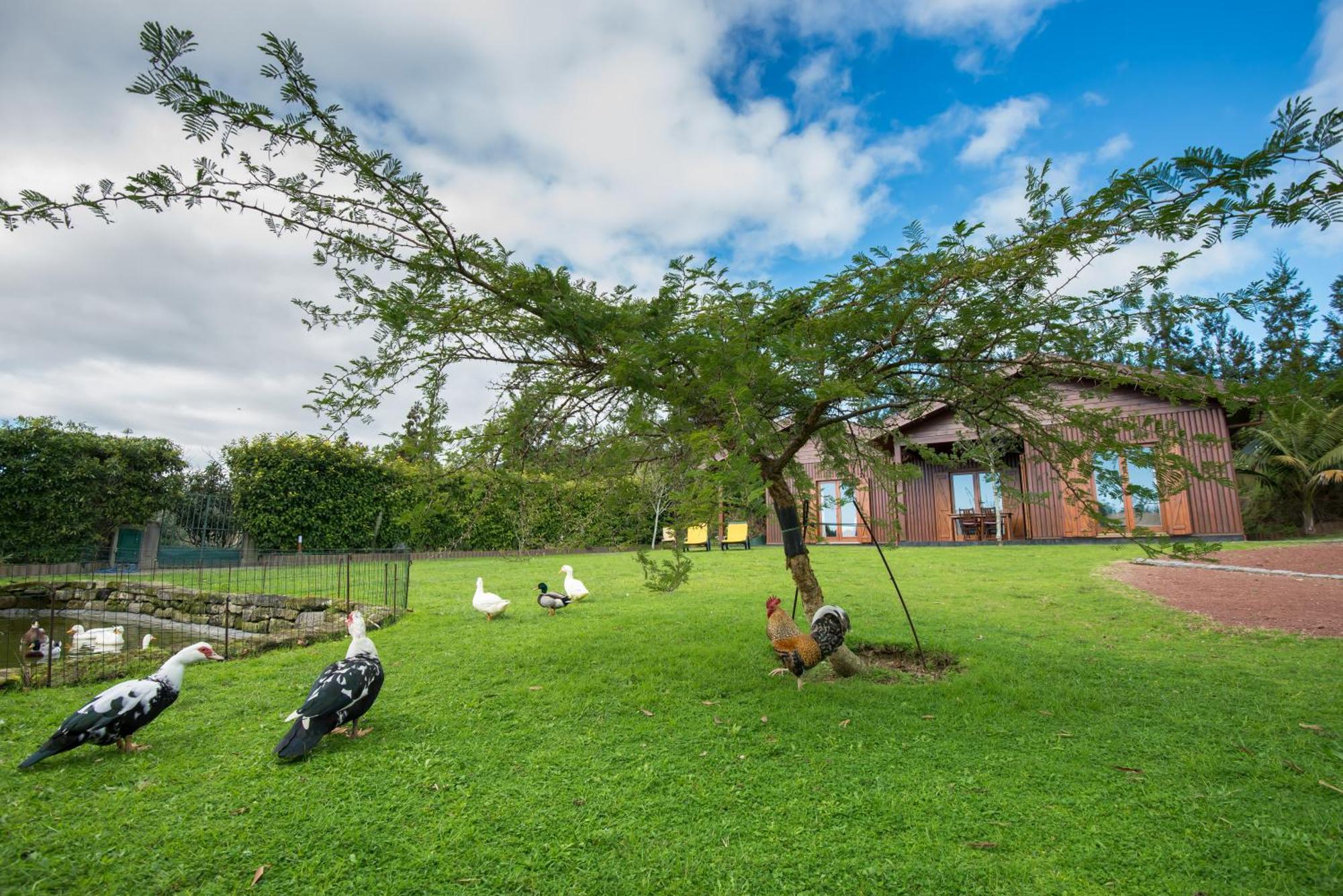 Villa Quinta Dos Curubas Vila Franca do Campo Esterno foto